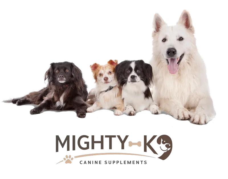 Four dogs lying in a row, a black spaniel, a small brown mix, a tricolor puppy and a white shepherd, above the MIGHTY-K9 wordmark